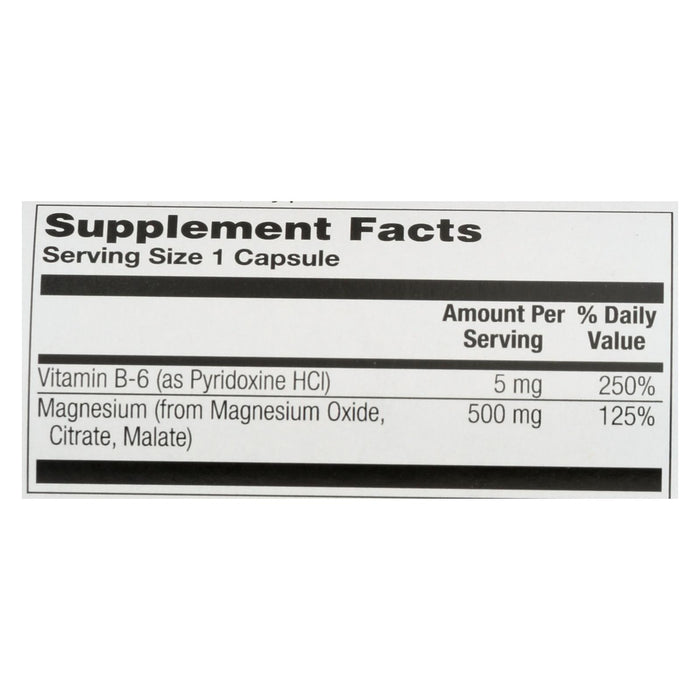 Nature's Life - Magnesium 500mg - 1 Each 1-100 Cap