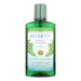 Auromere Mouthwash - Ayurvedic Mouthwash - Case Of 1 - 16 Oz. Biskets Pantry 