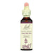 Bach Flower Remedies Essence Water Violet - 0.7 Fl Oz Biskets Pantry 