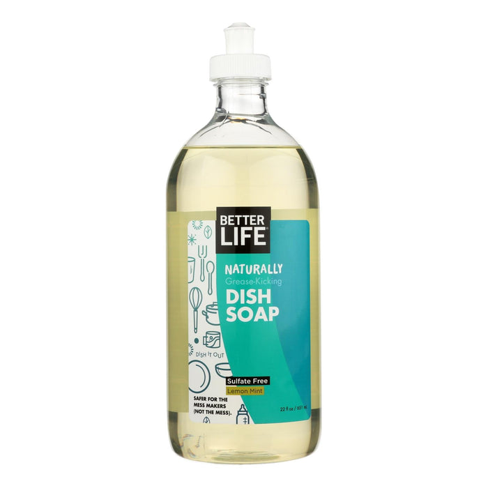 Better Life Dish Soap - Lemon Mint - 22 Fl Oz Biskets Pantry 